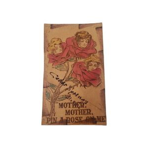 Antique Leather Postcard Mother Pin A Rose On Me Cedar Springs Michigan MI 1906